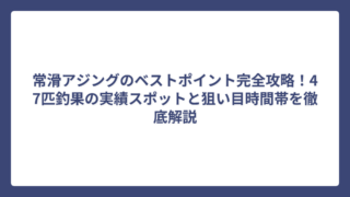 常滑アジングのベストポイント完全攻略！47匹釣果の実績スポットと狙い目時間帯を徹底解説