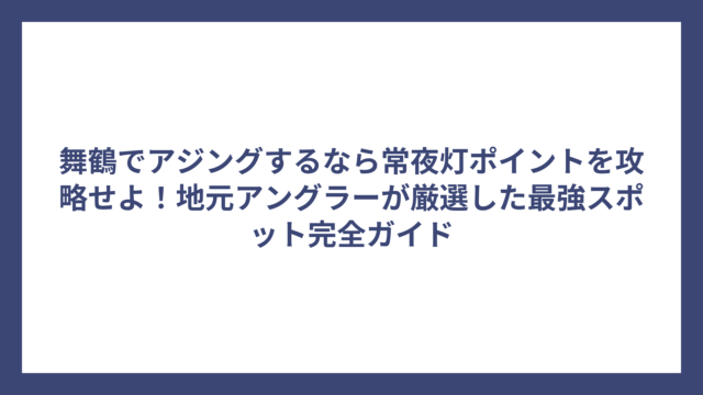 舞鶴でアジングするなら常夜灯ポイントを攻略せよ！地元アングラーが厳選した最強スポット完全ガイド