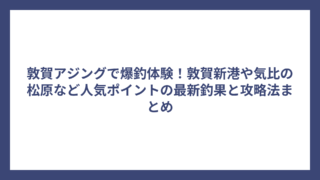 敦賀アジングで爆釣体験！敦賀新港や気比の松原など人気ポイントの最新釣果と攻略法まとめ