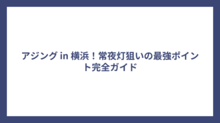 アジング in 横浜！常夜灯狙いの最強ポイント完全ガイド