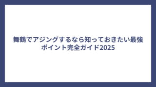 舞鶴でアジングするなら知っておきたい最強ポイント完全ガイド2025