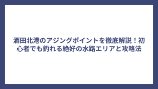 酒田北港のアジングポイントを徹底解説！初心者でも釣れる絶好の水路エリアと攻略法