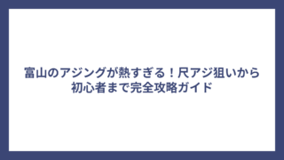 富山のアジングが熱すぎる！尺アジ狙いから初心者まで完全攻略ガイド
