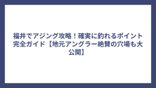福井でアジング攻略！確実に釣れるポイント完全ガイド【地元アングラー絶賛の穴場も大公開】