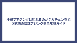 沖縄でアジングは釣れるのか？ガチュンを狙う魅惑の琉球アジング完全攻略ガイド