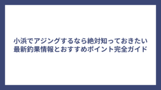小浜でアジングするなら絶対知っておきたい最新釣果情報とおすすめポイント完全ガイド