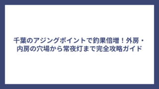 千葉のアジングポイントで釣果倍増！外房・内房の穴場から常夜灯まで完全攻略ガイド