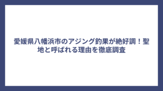 愛媛県八幡浜市のアジング釣果が絶好調！聖地と呼ばれる理由を徹底調査