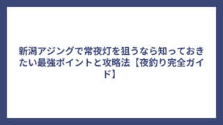 新潟アジングで常夜灯を狙うなら知っておきたい最強ポイントと攻略法【夜釣り完全ガイド】