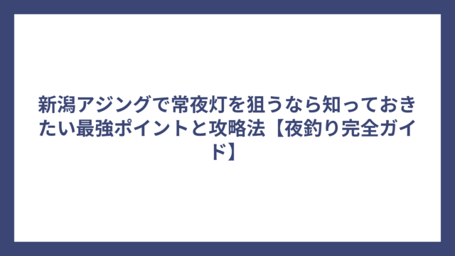 新潟アジングで常夜灯を狙うなら知っておきたい最強ポイントと攻略法【夜釣り完全ガイド】