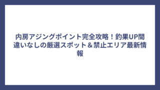 内房アジングポイント完全攻略！釣果UP間違いなしの厳選スポット＆禁止エリア最新情報