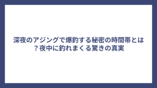 深夜のアジングで爆釣する秘密の時間帯とは？夜中に釣れまくる驚きの真実