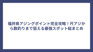 福井県アジングポイント完全攻略！尺アジから数釣りまで狙える最強スポット総まとめ