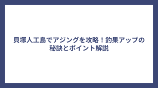 貝塚人工島でアジングを攻略！釣果アップの秘訣とポイント解説
