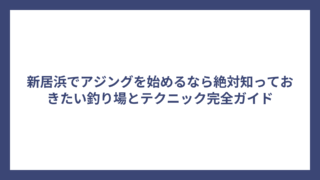 新居浜でアジングを始めるなら絶対知っておきたい釣り場とテクニック完全ガイド