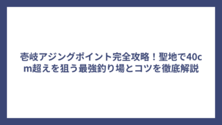 壱岐アジングポイント完全攻略！聖地で40cm超えを狙う最強釣り場とコツを徹底解説