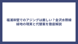 福浦岸壁でのアジングは厳しい？金沢水際線緑地の現実と代替案を徹底解説