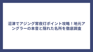 沼津でアジング常夜灯ポイント攻略！地元アングラーの本音と隠れた名所を徹底調査