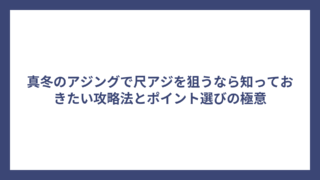 真冬のアジングで尺アジを狙うなら知っておきたい攻略法とポイント選びの極意