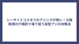 シーサイドコスモでのアジングが熱い！大阪南港の穴場釣り場で狙う良型アジの攻略法