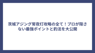 茨城アジング常夜灯攻略の全て！プロが隠さない最強ポイントと釣法を大公開