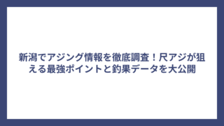 新潟でアジング情報を徹底調査！尺アジが狙える最強ポイントと釣果データを大公開