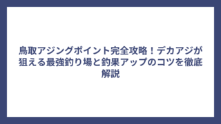 鳥取アジングポイント完全攻略！デカアジが狙える最強釣り場と釣果アップのコツを徹底解説