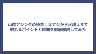 山陰アジングの極意！豆アジから尺超えまで釣れるポイントと時期を徹底解説してみた