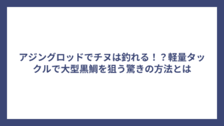 アジングロッドでチヌは釣れる！？軽量タックルで大型黒鯛を狙う驚きの方法とは