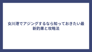 女川港でアジングするなら知っておきたい最新釣果と攻略法