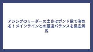 アジングのリーダーの太さはポンド数で決める！メインラインとの最適バランスを徹底解説