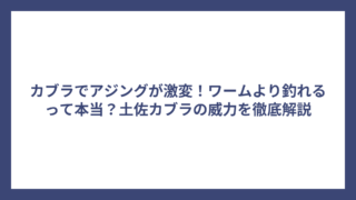 カブラでアジングが激変！ワームより釣れるって本当？土佐カブラの威力を徹底解説