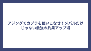 アジングでカブラを使いこなせ！メバルだけじゃない最強の釣果アップ術
