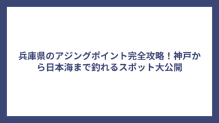 兵庫県のアジングポイント完全攻略！神戸から日本海まで釣れるスポット大公開