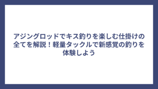 アジングロッドでキス釣りを楽しむ仕掛けの全てを解説！軽量タックルで新感覚の釣りを体験しよう