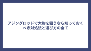アジングロッドで大物を狙うなら知っておくべき対処法と選び方の全て