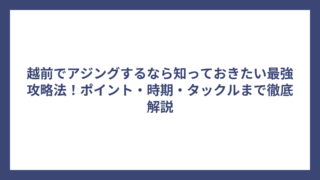 越前でアジングするなら知っておきたい最強攻略法！ポイント・時期・タックルまで徹底解説