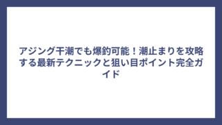 アジング干潮でも爆釣可能！潮止まりを攻略する最新テクニックと狙い目ポイント完全ガイド