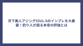 月下美人アジング55UL-Sのインプレを大暴露！釣り人が語る本音の評価とは