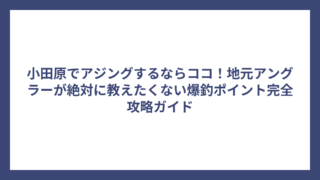 小田原でアジングするならココ！地元アングラーが絶対に教えたくない爆釣ポイント完全攻略ガイド