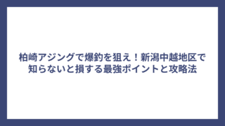 柏崎アジングで爆釣を狙え！新潟中越地区で知らないと損する最強ポイントと攻略法