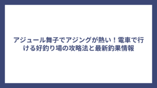 アジュール舞子でアジングが熱い！電車で行ける好釣り場の攻略法と最新釣果情報