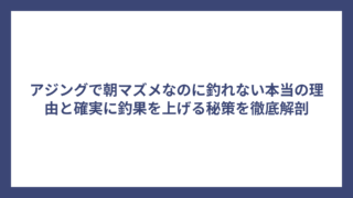 アジングで朝マズメなのに釣れない本当の理由と確実に釣果を上げる秘策を徹底解剖