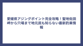 愛媛県アジングポイント完全攻略！聖地佐田岬から穴場まで地元民も知らない最新釣果情報