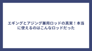 エギングとアジング兼用ロッドの真実！本当に使えるのはこんなロッドだった