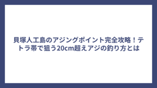 貝塚人工島のアジングポイント完全攻略！テトラ帯で狙う20cm超えアジの釣り方とは