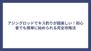 アジングロッドでキス釣りが超楽しい！初心者でも簡単に始められる完全攻略法