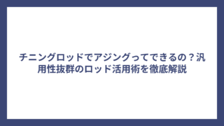 チニングロッドでアジングってできるの？汎用性抜群のロッド活用術を徹底解説