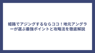 姫路でアジングするならココ！地元アングラーが選ぶ最強ポイントと攻略法を徹底解説