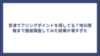 宮津でアジングポイントを探してる？地元情報まで徹底調査してみた結果が凄すぎた